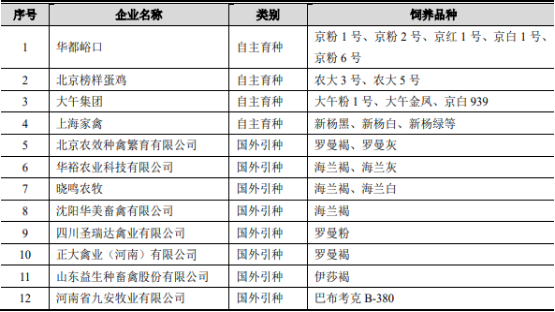 2021年中国蛋鸡育种行业市场发展潜力研究预测及重点企业竞争战略咨询