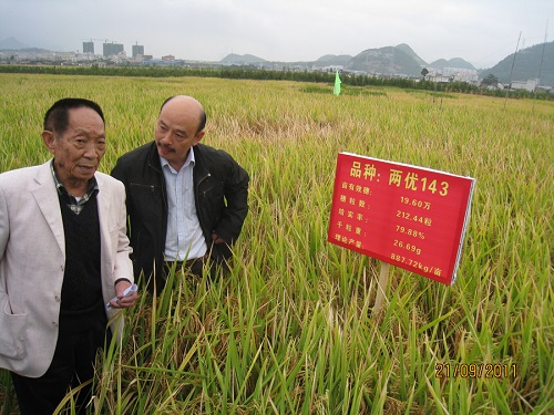 袁隆平的理論遺產(chǎn)：從55年前的開創(chuàng)性論文到雜交水稻總設(shè)計師