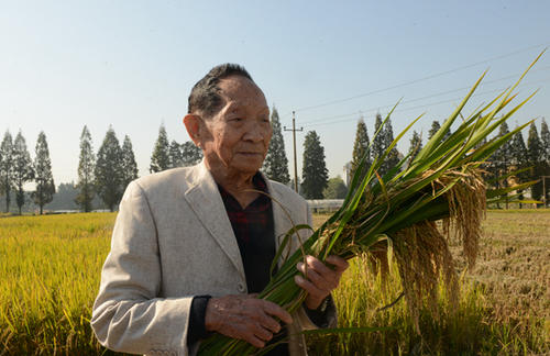 袁隆平的理論遺產(chǎn)：從55年前的開創(chuàng)性論文到雜交水稻總設(shè)計師