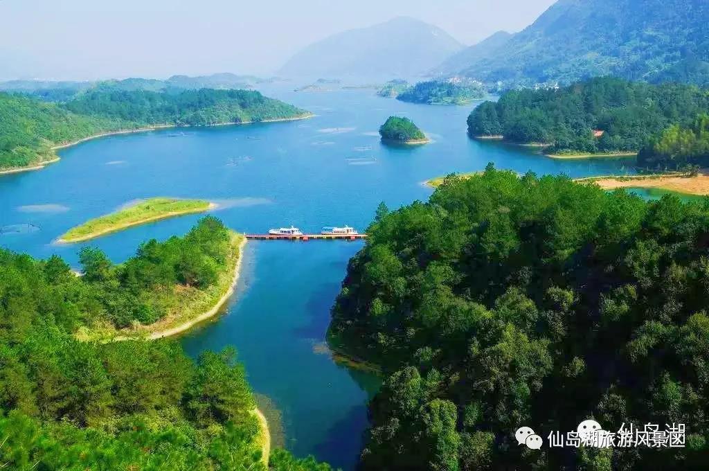 仙湖画廊 仙湖画廊