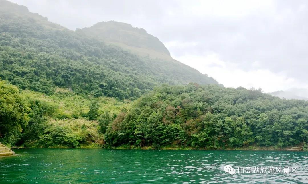 阳新仙岛湖观音洞图片