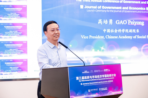 Gao Peiyong:  Relationship between government and market changed under pandemic
