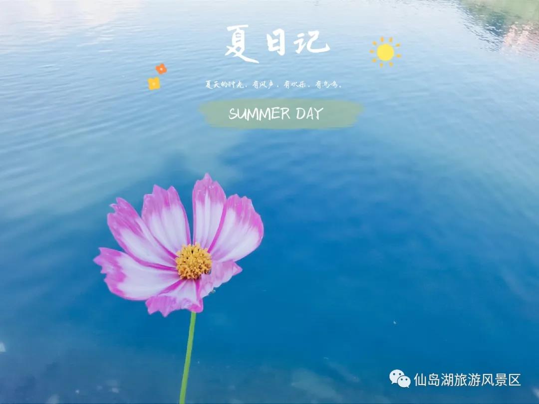 来仙岛湖升级你的毕业旅行照 来仙岛湖升级你的毕业旅行照