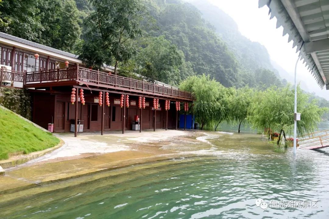别了!2020仙岛湖的痛与爱 别了!2020仙岛湖的痛与爱