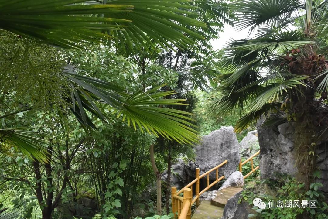 体验游//仙岛湖景区仙福山景点6月1日对外试营业 体验游//仙岛湖景区仙福山景点6月1日对外试营业