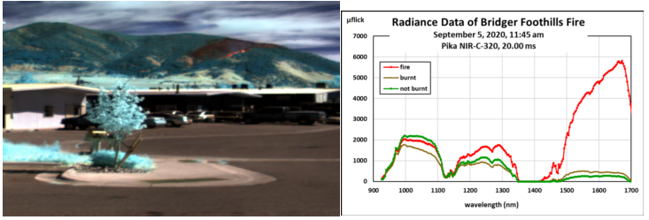 应用近红外高光谱成像技术监测森林火灾