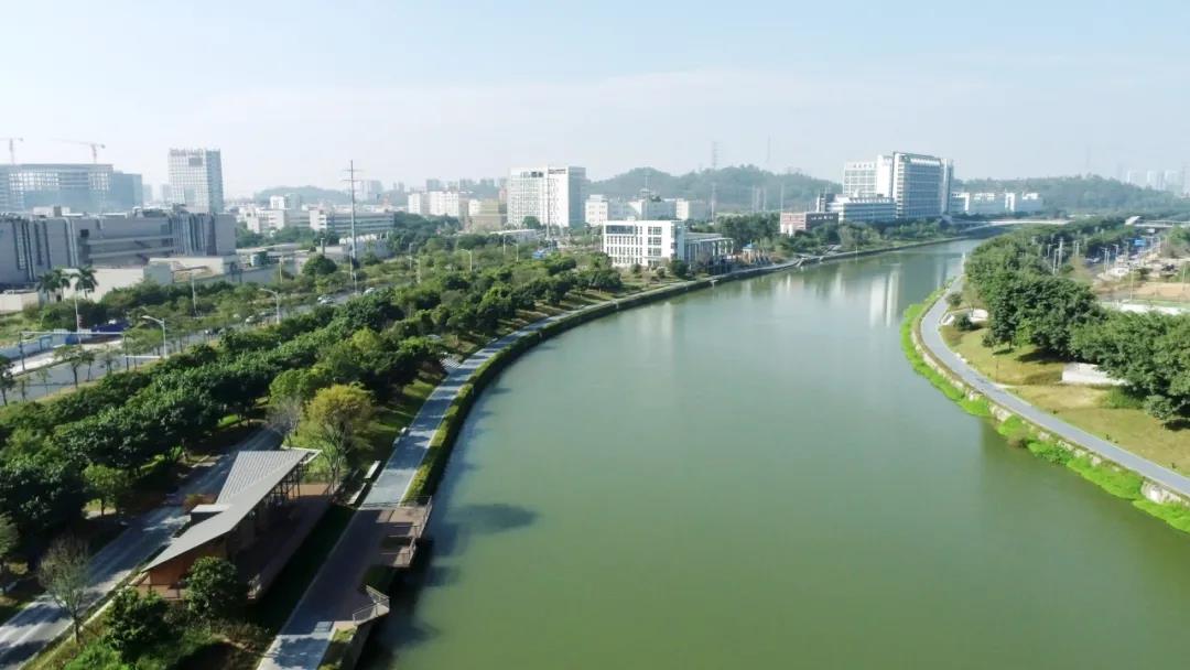 我们在城基 | 重塑茅洲河碧道生命系统 · 再添深圳生态新名片 我们在城基 | 重塑茅洲河碧道生命系统 · 再添深圳生态新名片