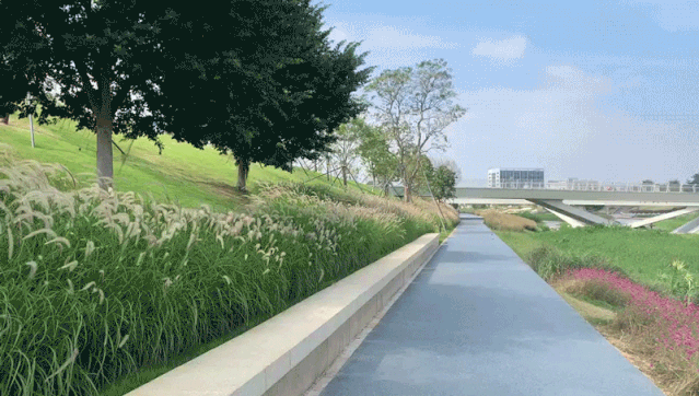 我们在城基 | 重塑茅洲河碧道生命系统 · 再添深圳生态新名片 我们在城基 | 重塑茅洲河碧道生命系统 · 再添深圳生态新名片