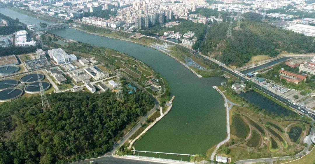 我们在城基 | 重塑茅洲河碧道生命系统 · 再添深圳生态新名片 我们在城基 | 重塑茅洲河碧道生命系统 · 再添深圳生态新名片