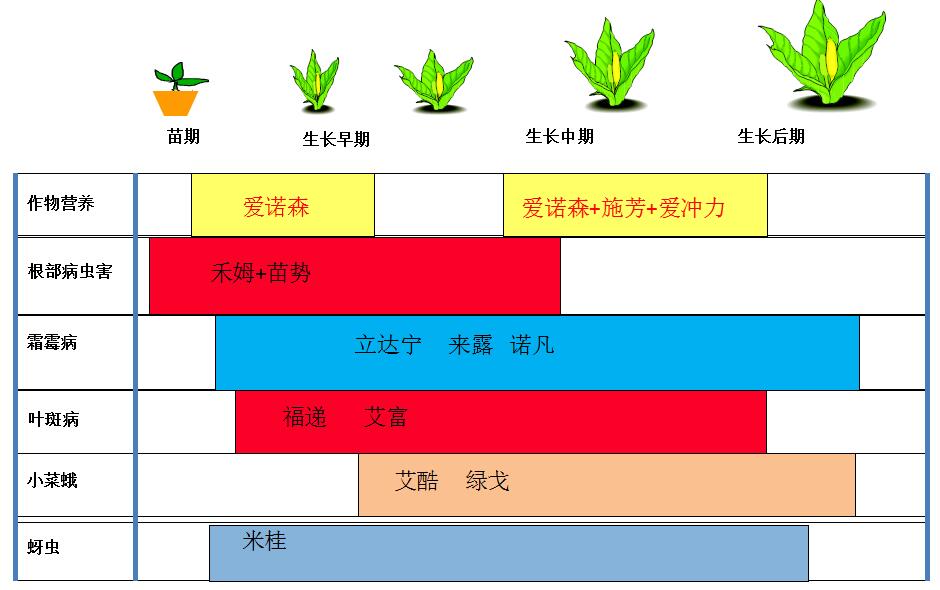 爱诺森腐植酸图片