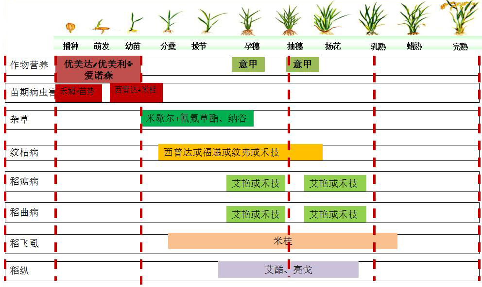 水稻药肥一体化解决方案 水稻药肥一体化解决方案