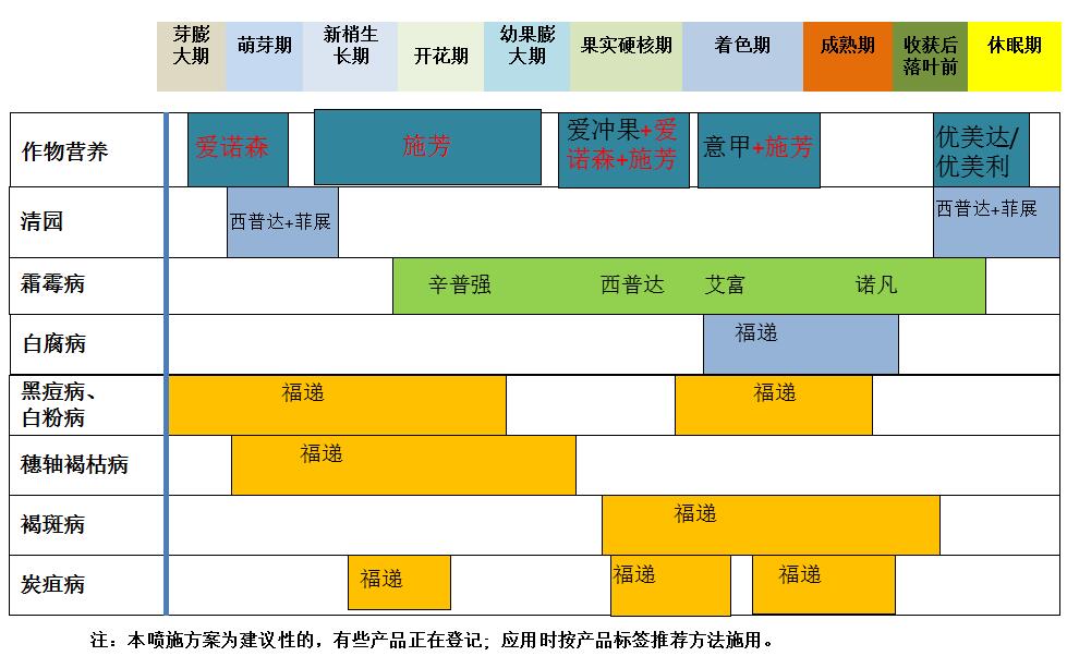 葡萄说明.jpg 葡萄说明.jpg