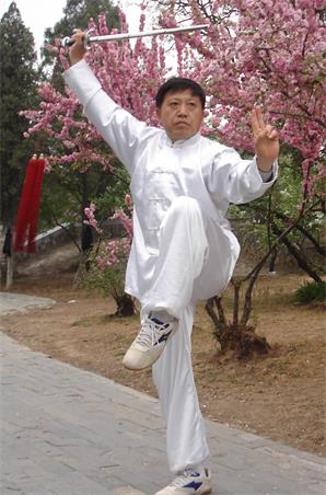 宋海波·曹妃甸区武术运动协会名誉主席