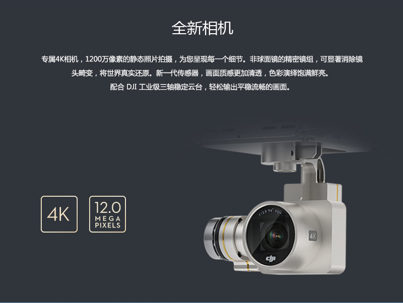 Phantom 3 Professional