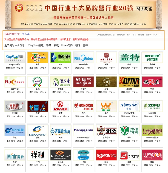 2013年中国行业十大品牌曁行业20强---最受网友喜欢的足浴器十大品牌评选