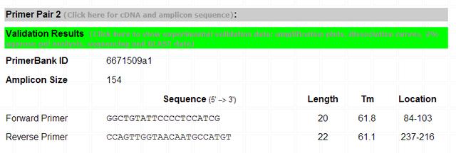 PCR引物设计，3款在线软件就能搞定！