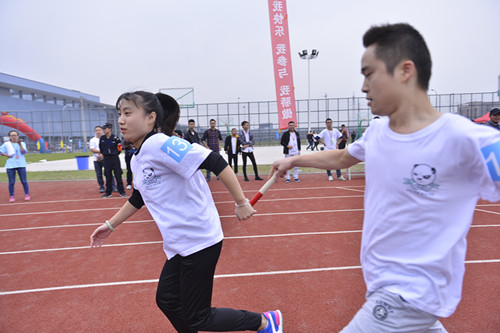 【成都大型趣味運動會】綜合類體育賽事