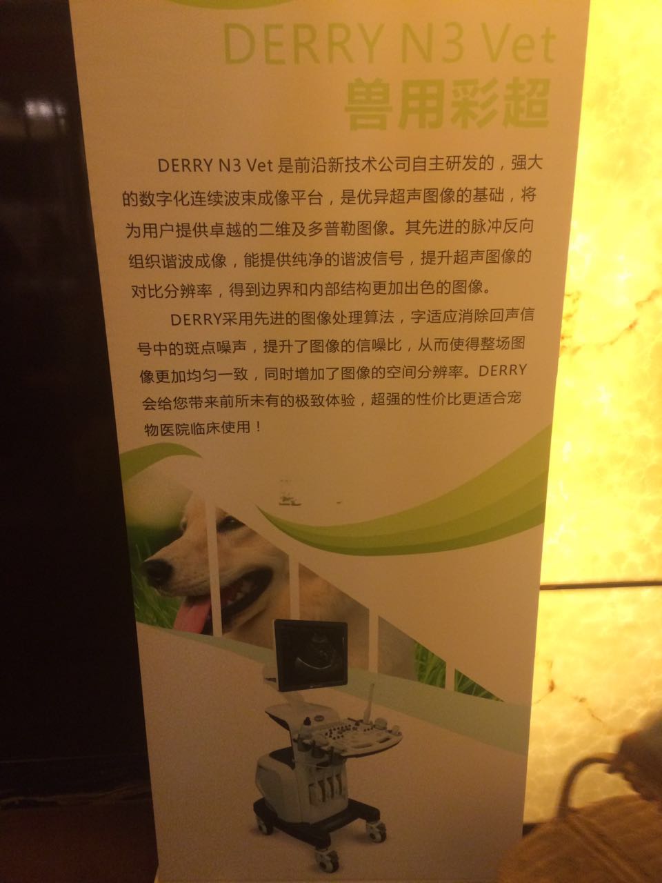 中珠江宠物协会年会 中珠江宠物协会年会