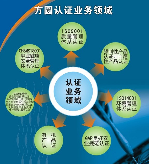 公司业绩