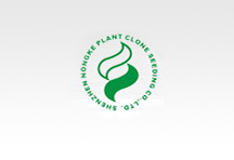 深圳農(nóng)科植物克隆種苗