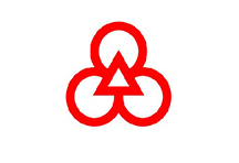 湖北東光電子