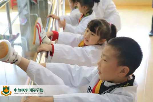 中加枫华幼儿园跆拳道：三岁孩子的格斗动作，我给满分!