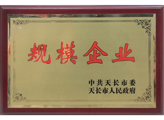 规模企业