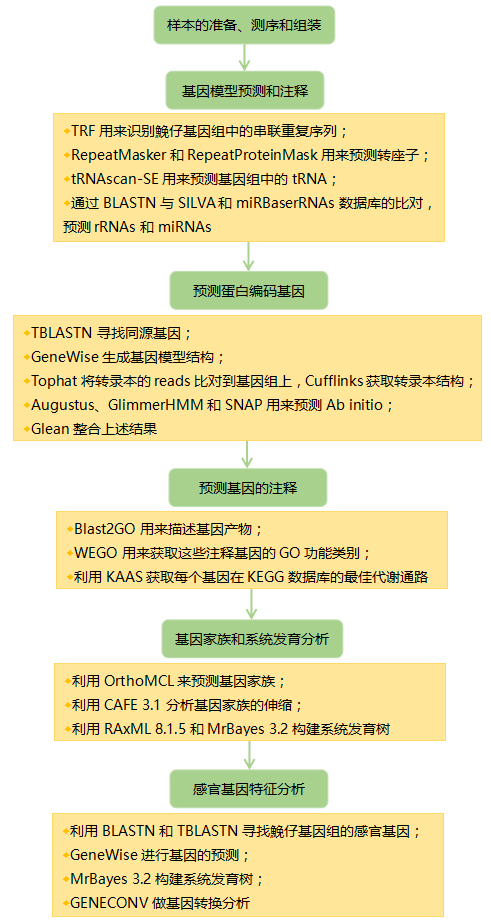 通过鮸仔(miiuy croaker)基因组来研究其发达的先天性免疫和感官系统 通过鮸仔(miiuy croaker)基因组来研究其发达的先天性免疫和感官系统