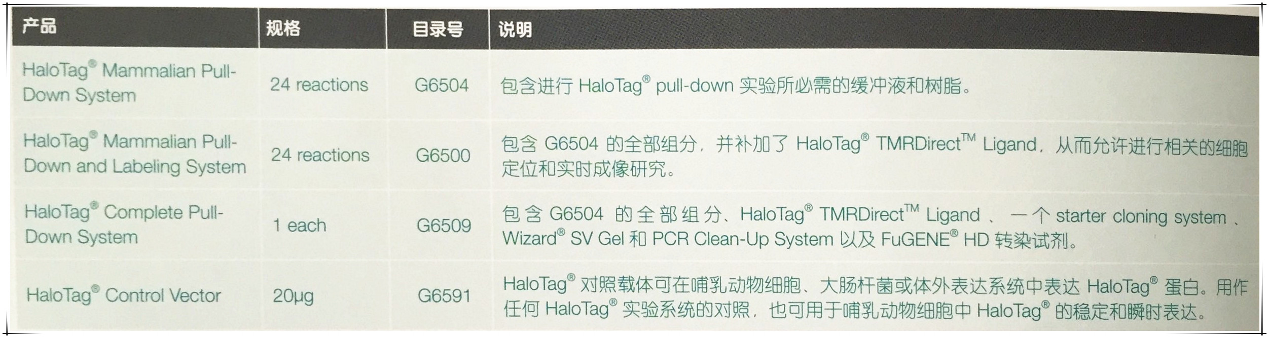 HaloTag®蛋白标签技术