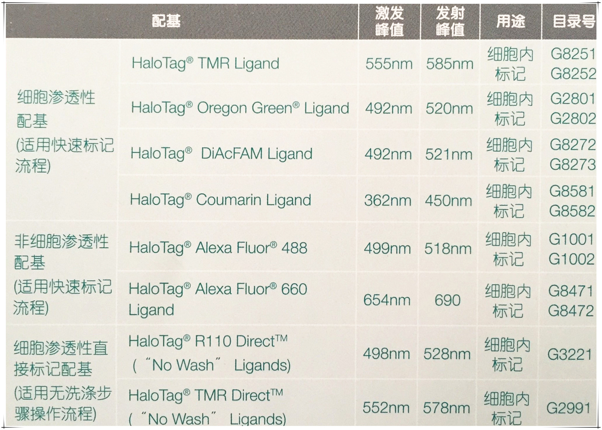 HaloTag®蛋白标签技术