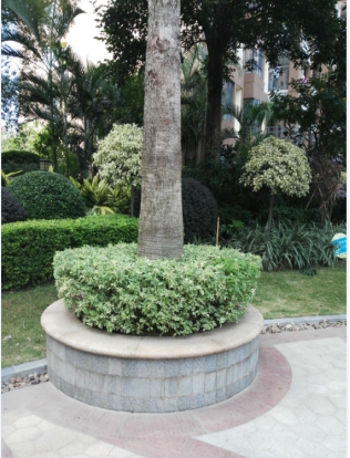 珠江新城管理处组织员工外出“对标”学习 珠江新城管理处组织员工外出“对标”学习