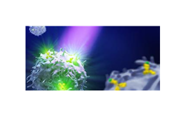 CD15-PE, human (clone: VIMC6)130-098-010