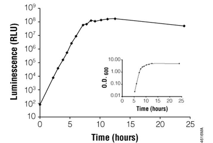 BacTiter-Glo™ Microbial Cell Viability Assay G8230 - 细胞健康和代谢检测-