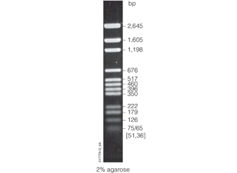 BenchTop pGEM® DNA Markers G7521