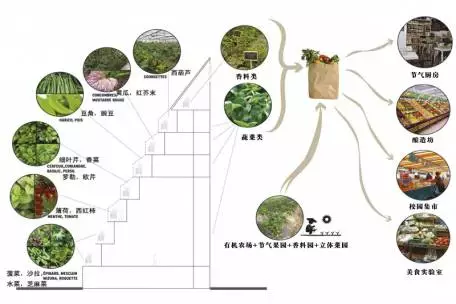 这所学校用课程造景,让校园美成了诗 这所学校用课程造景,让校园美成了诗