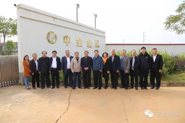 国资委监事会钱阔主任、中钢集团董事长徐思伟一行莅临广西中金金属科技股份有限公司指导工作 