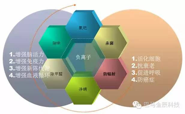 科学解读空气负离子的神奇功效！