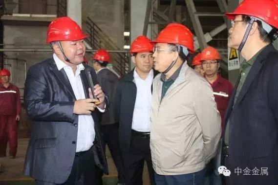国资委监事会钱阔主任、中钢集团董事长徐思伟一行莅临广西中金金属科技股份有限公司指导工作 