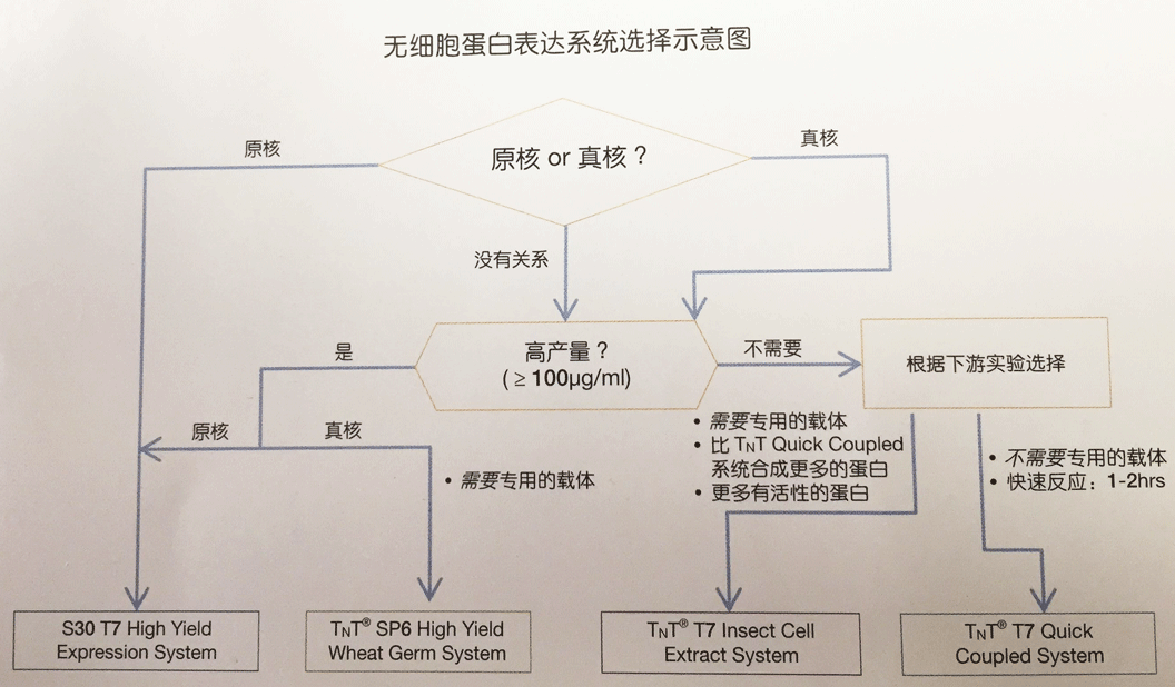 无细胞蛋白表达技术