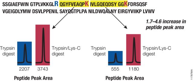 Trypsin/Lys-C Mix, Mass Spec Grade V5071 V5072 V5073