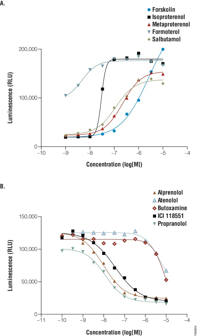 GloSensor™ cAMP Assay E1261 E2301 E1171 E1290 E1291