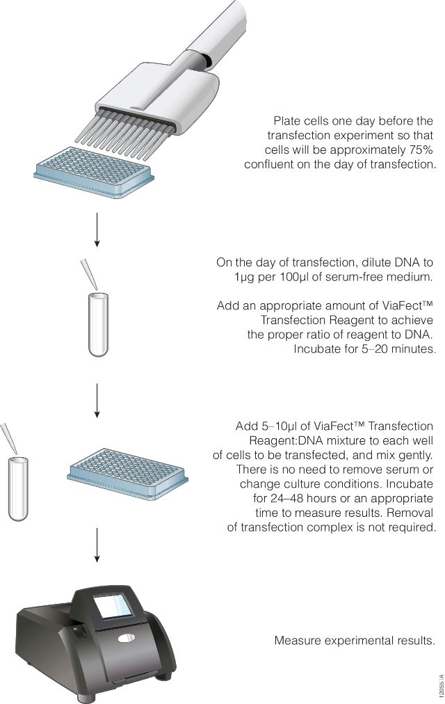 ViaFect™ Transfection Reagent E4981 E4982