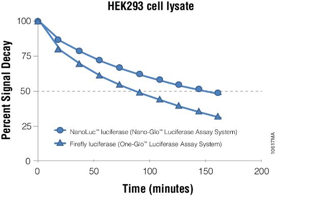 Nano-Glo® Luciferase Assay System