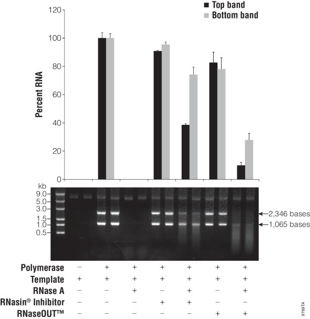 RNasin® Ribonuclease Inhibitors