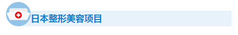 日本美容整形项目