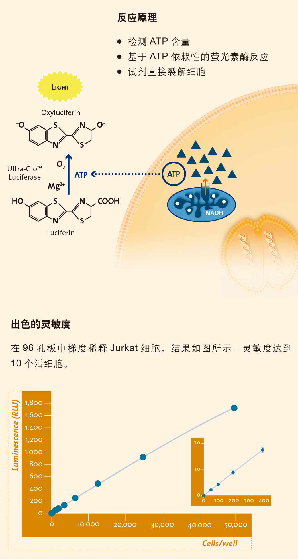 细胞活力之生物发光法检测