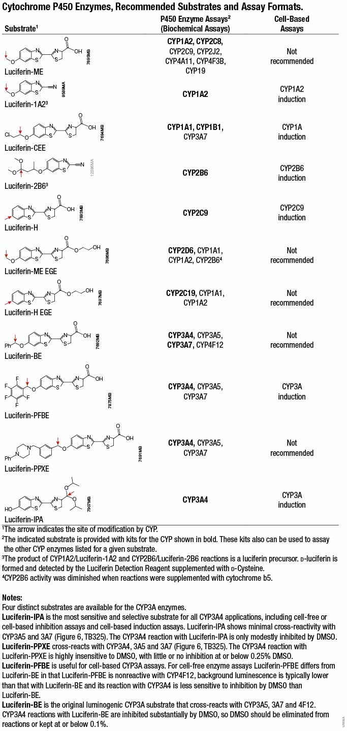 CYP450 Assay Systems