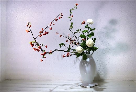 【团建】宠爱女神节