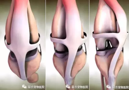 微信截图_20170223200804.png 微信截图_20170223200804.png