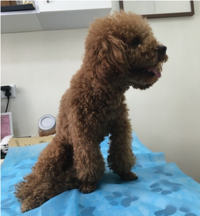 微信截图_20170220214241.png 微信截图_20170220214241.png